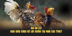 Đá Gà C3 - Giải Đấu Chọi Kê Lôi Cuốn Tại Nhà Cái 77Bet